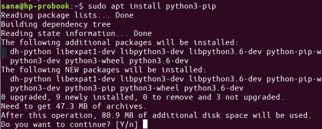Install Python Pip